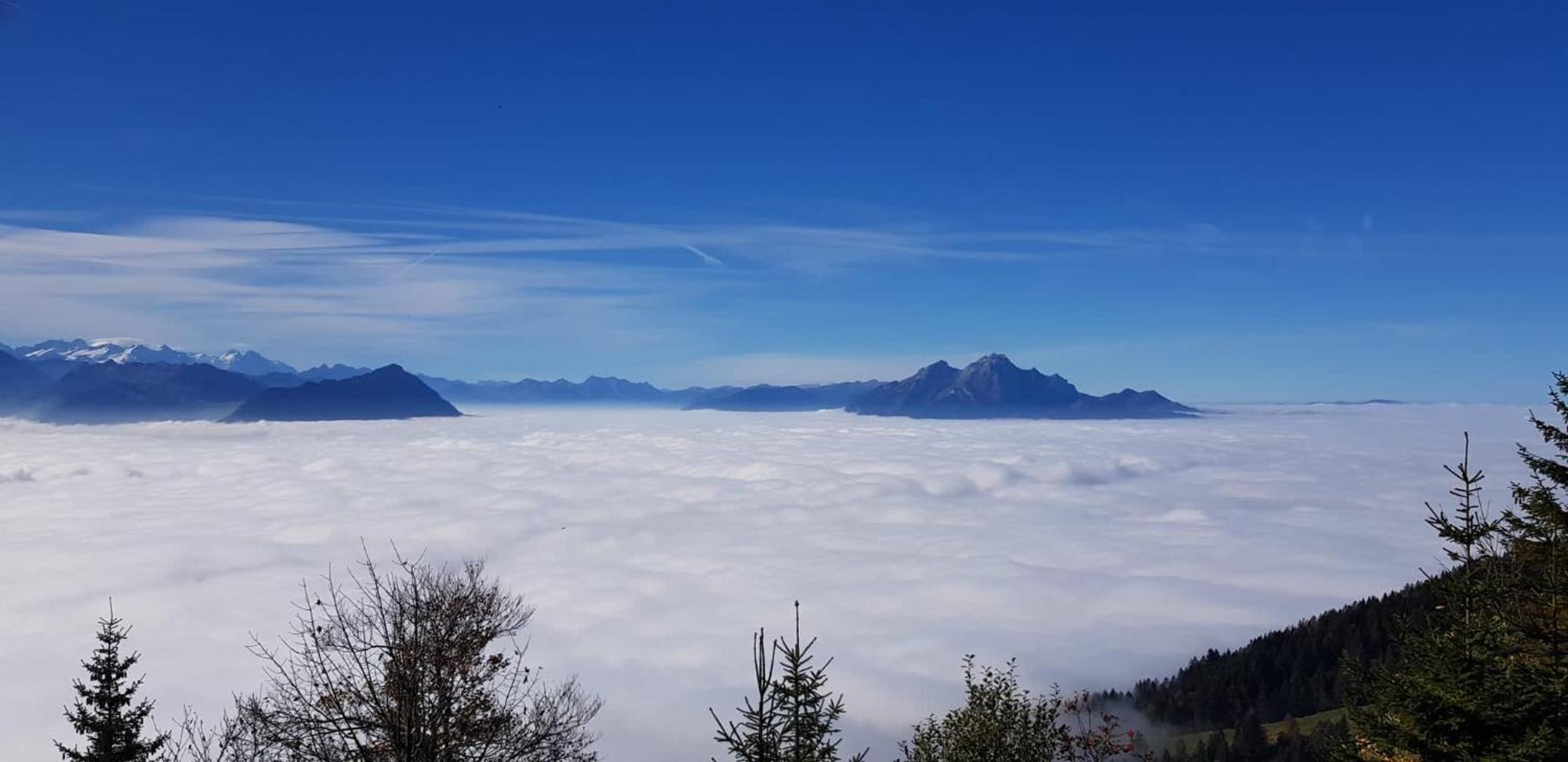 Villa Bootsmann Mit Spektakulaerer Seesicht Nahe Badestrand Vitznau Luaran gambar